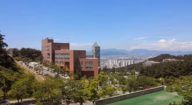 應屆高考生注意！不需韓語，不需英語！24年9月入學韓國本科0+4項目