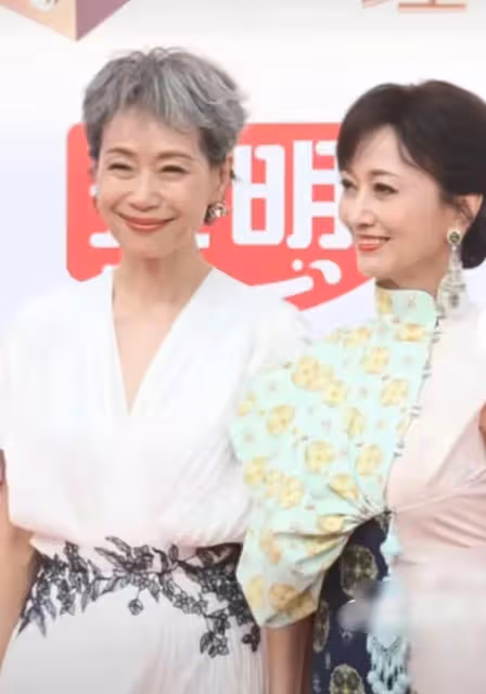 61歲葉童和70歲趙雅芝走紅毯,醫美臉和自然臉的區別就出來了