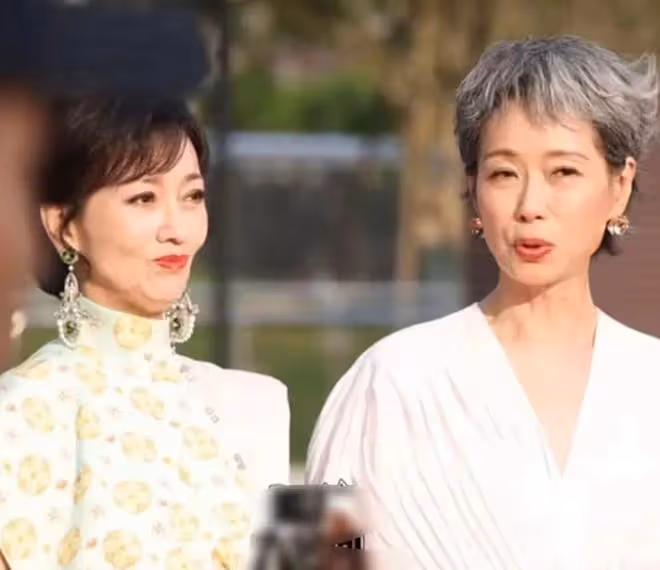 61歲葉童和70歲趙雅芝走紅毯,醫美臉和自然臉的區別就出來了