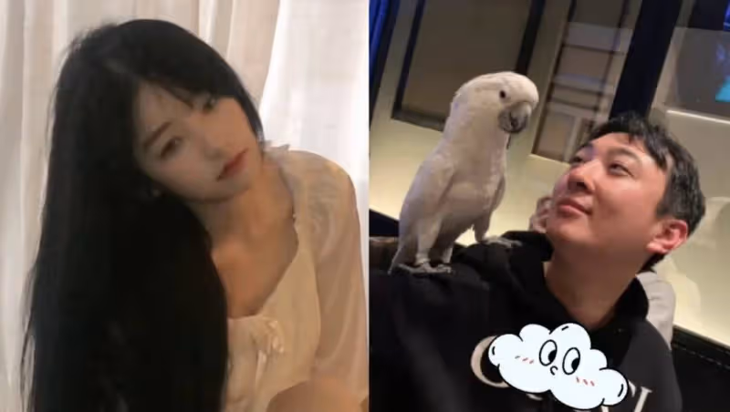 去母留子!王健林接走孫女!黃一鳴再曬女兒視頻,被扒全是庫存