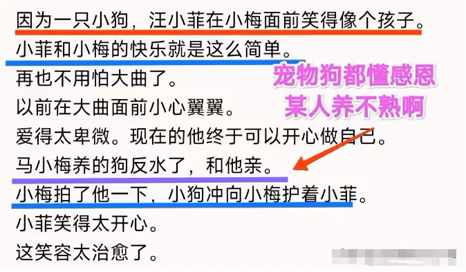 大S再敗一局!汪小菲馬筱梅是懂內涵的,一隻寵物狗引發的思考