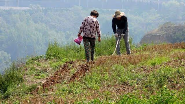 回顧:2011年農村夫妻床底搜出8千萬現金,村民才得知夫妻真面目