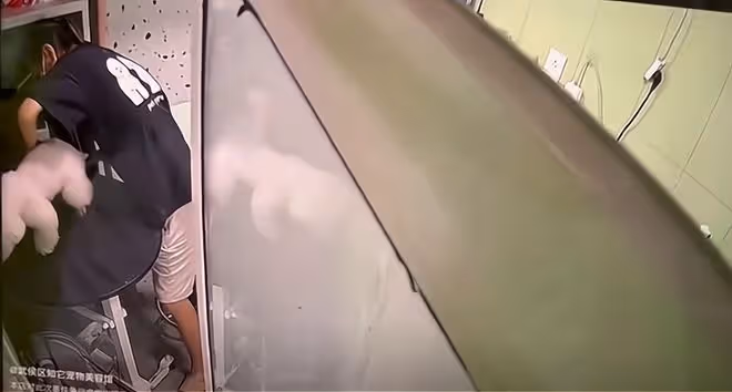 嫌店員給寵物狗洗澡不夠溫柔,小情侶拖拽踢打店員,要給狗討公道