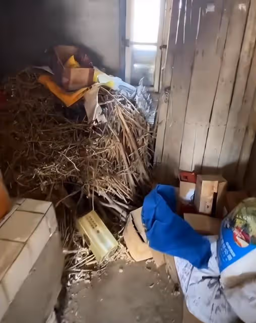 姜萍家的廚房門被踹了,屋內家具被拍,連雞鴨也被網友追著錄像