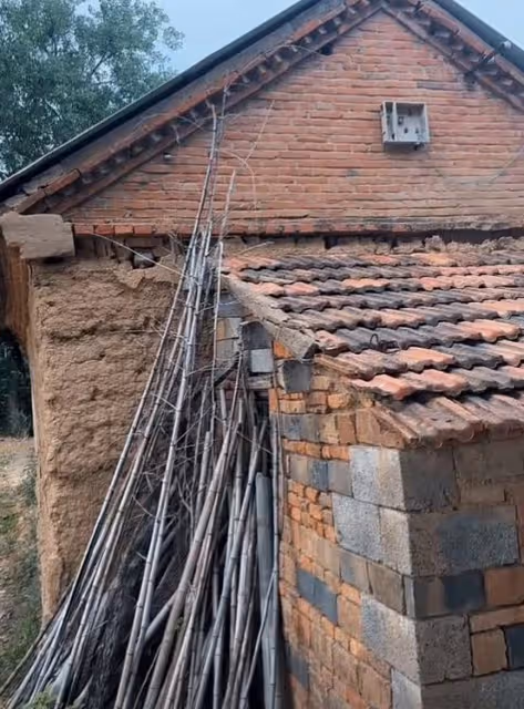 姜萍家的廚房門被踹了,屋內家具被拍,連雞鴨也被網友追著錄像