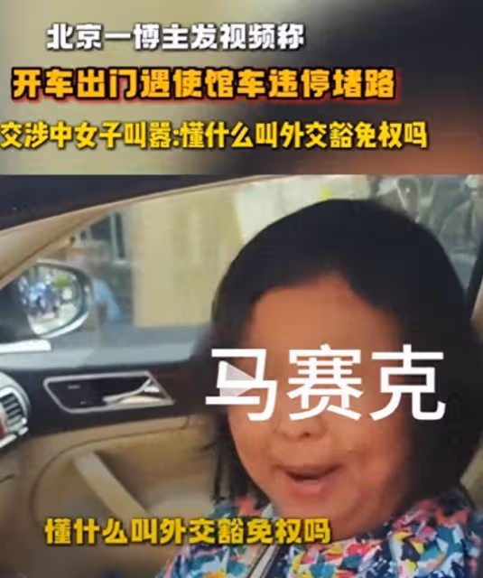 這一次,叫囂外交豁免權的大媽底褲都快被扒光了,胡錫進道出真相