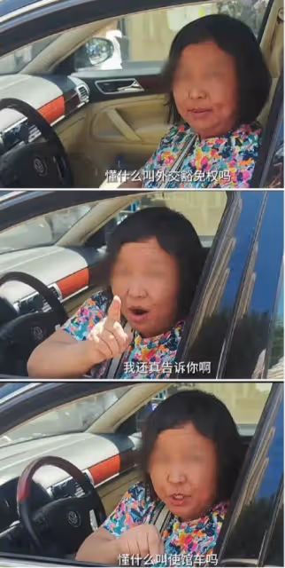 這一次,叫囂外交豁免權的大媽底褲都快被扒光了,胡錫進道出真相