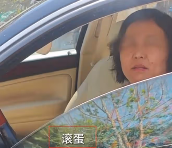這一次,叫囂外交豁免權的大媽底褲都快被扒光了,胡錫進道出真相