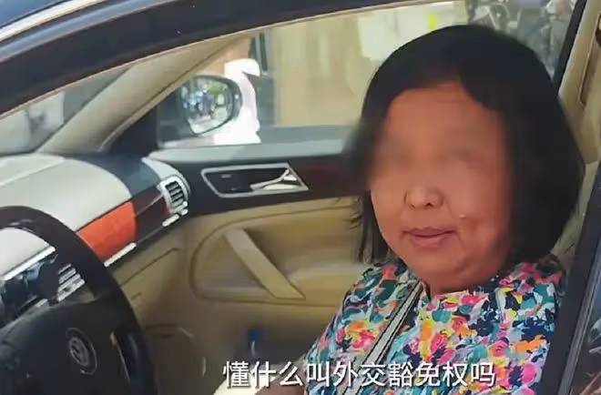 這一次,叫囂外交豁免權的大媽底褲都快被扒光了,胡錫進道出真相