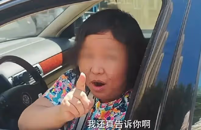 這一次,叫囂外交豁免權的大媽底褲都快被扒光了,胡錫進道出真相