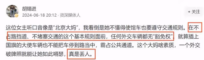 這一次,叫囂外交豁免權的大媽底褲都快被扒光了,胡錫進道出真相