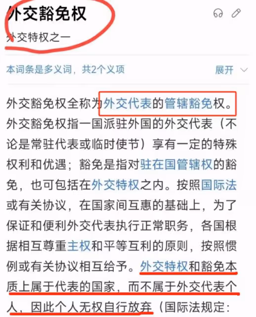 這一次,叫囂外交豁免權的大媽底褲都快被扒光了,胡錫進道出真相