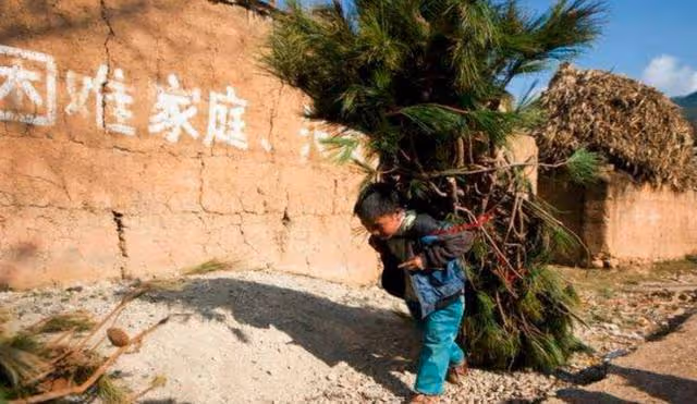 回顧：北大博士後失聯20年母親病危拒不相見，哥哥稱怪父母太吸血