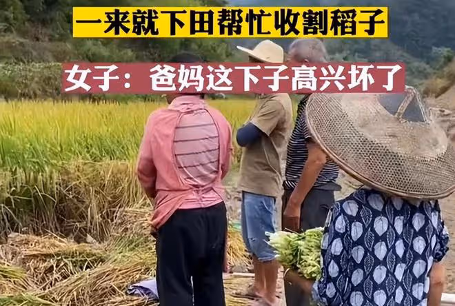 男子網戀奔現卻遇女方父母收稻子,剛下車就幹活,感覺自己被套路
