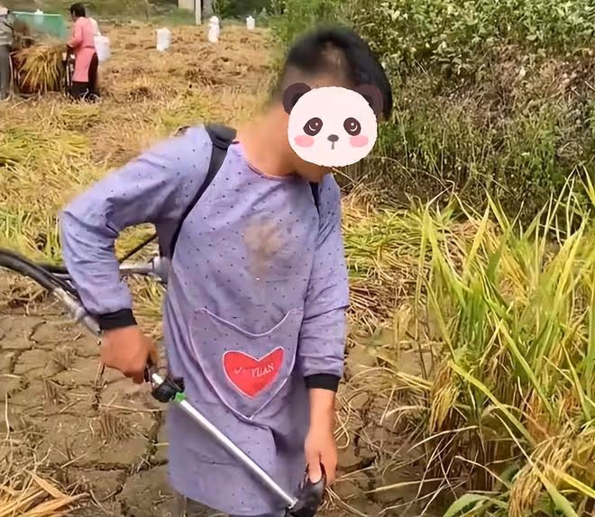 男子網戀奔現卻遇女方父母收稻子,剛下車就幹活,感覺自己被套路