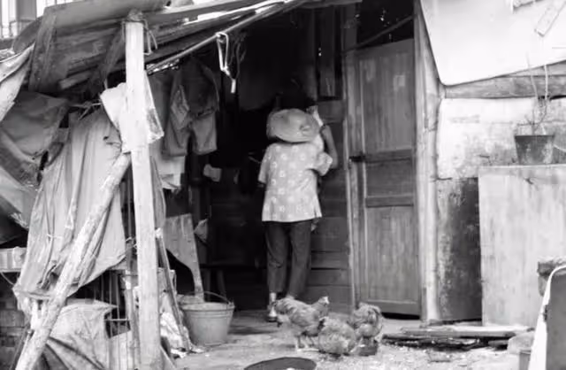 回顧:94年拾荒老人收養一獨臂女棄嬰,撿廢品供她上學後來怎樣了