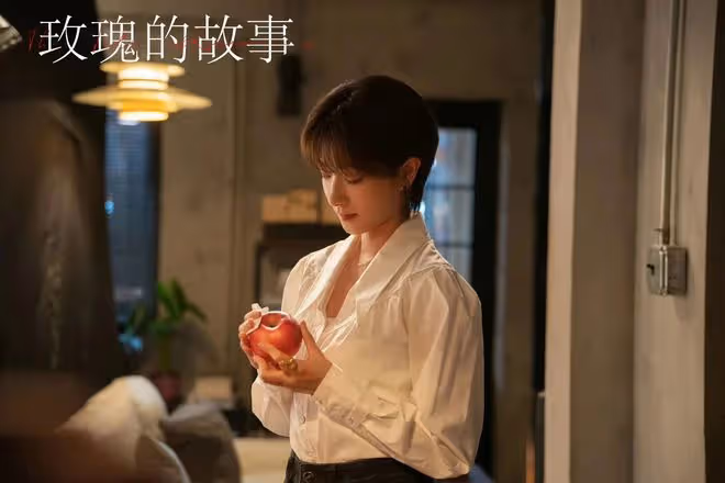 玫瑰的故事:蘇更生領證前自曝婚史內情揭秘!白曉荷為何相形見絀