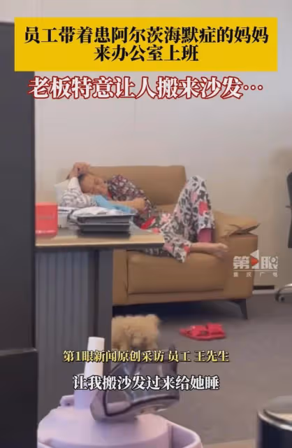 好暖心啊!員工帶著生病媽媽來辦公室上班,老闆特意讓人搬來沙發