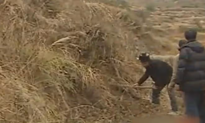 村民發現十噸重國寶,多次上交遭專家拒絕,3年後卻成鎮館之寶