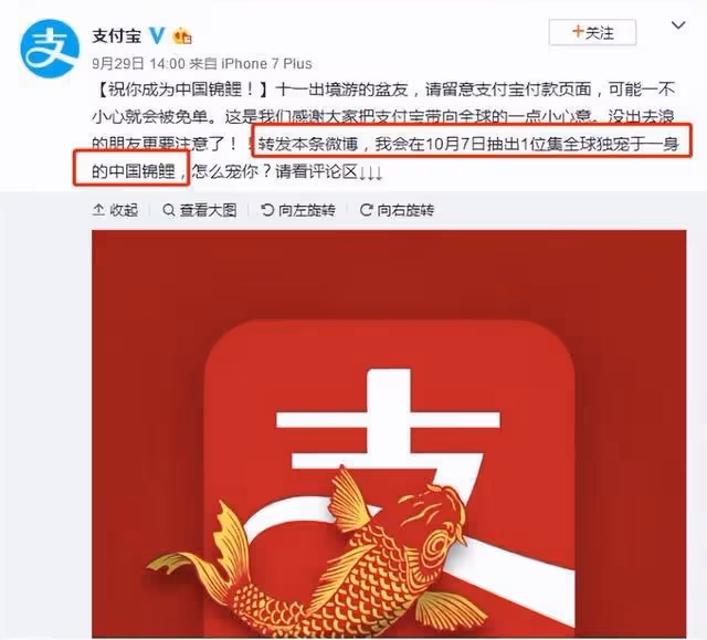 回顧:被馬雲砸中的錦鯉女孩,支付寶中獎1個億,後來怎麼樣了?