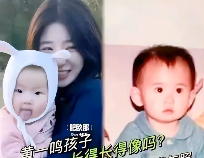 黃一鳴殺瘋了,高調接受專訪,曬女兒慶生視頻,王思聰徹底老實了