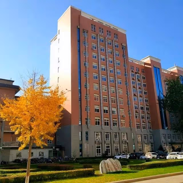 回顧:大學生因學費不足,在外流浪16年,回家後發現母親早已瘋癲