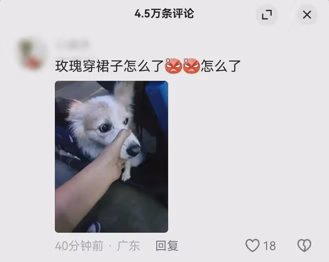 林更新破防了!凌晨五點起來跟網友對罵,根本沒把粉絲放在眼裡!