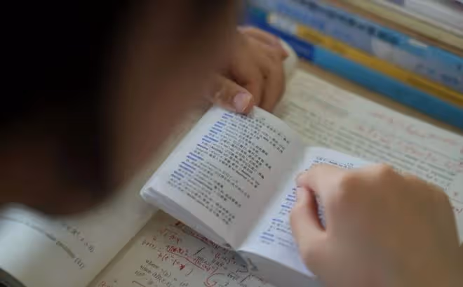 阿里巴巴發文評價姜萍，初中數學就很突出，斷崖式領先其他科目