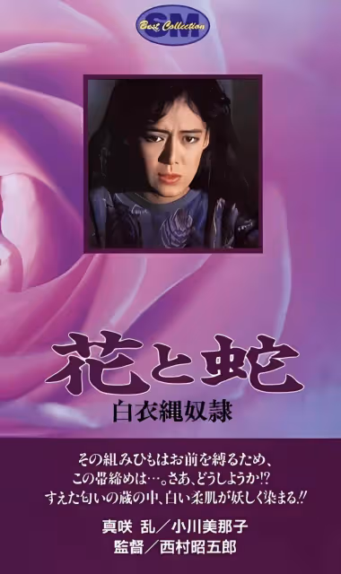 根據作家團鬼六小說改編的十大日本情色片!很黃很暴力