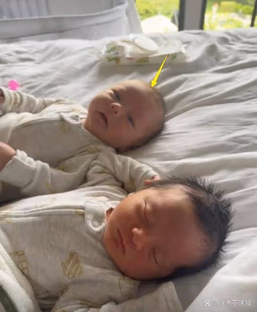 葉海洋惹爭議!被質疑不是雙胞胎兒子的生母,生產細節看出端倪!