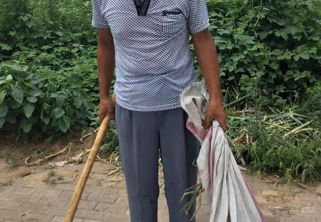 回顧:95年農婦好心救毒蛇,多次放生卻賴著不走,比小孩還聽話