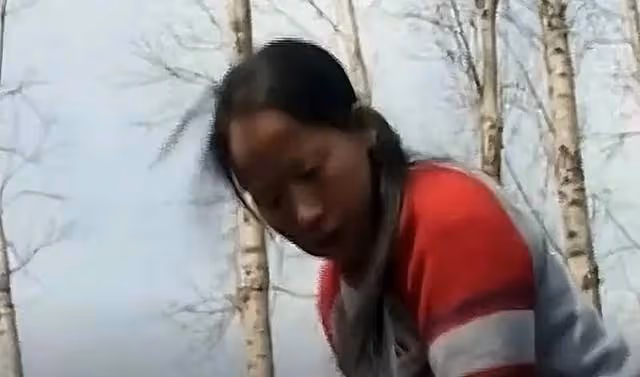 回顧:95年農婦好心救毒蛇,多次放生卻賴著不走,比小孩還聽話