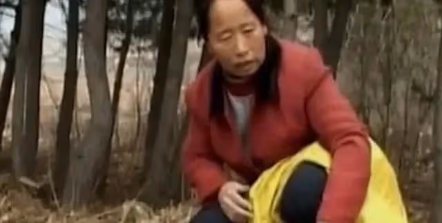 回顧:95年農婦好心救毒蛇,多次放生卻賴著不走,比小孩還聽話