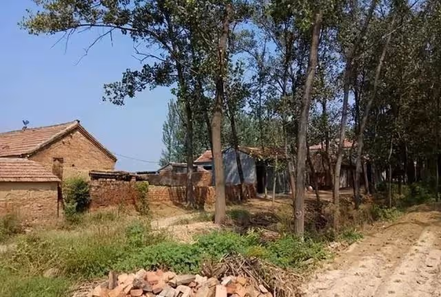 回顧:95年農婦好心救毒蛇,多次放生卻賴著不走,比小孩還聽話