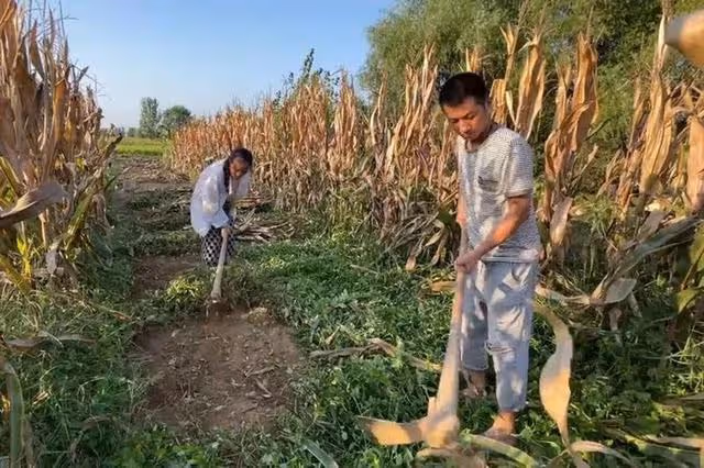 回顧:植物人女子腹部凸起,醫生檢查發現懷孕,丈夫堅持生下來