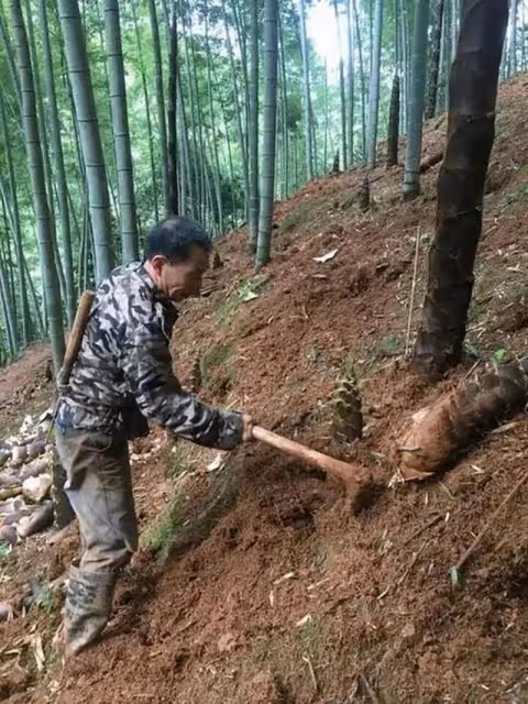 回顧:植物人女子腹部凸起,醫生檢查發現懷孕,丈夫堅持生下來