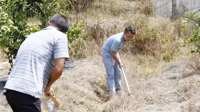 回顧:14年兩位「奪刀少年」,勇敢奪刀救下全車人命後來怎樣了?
