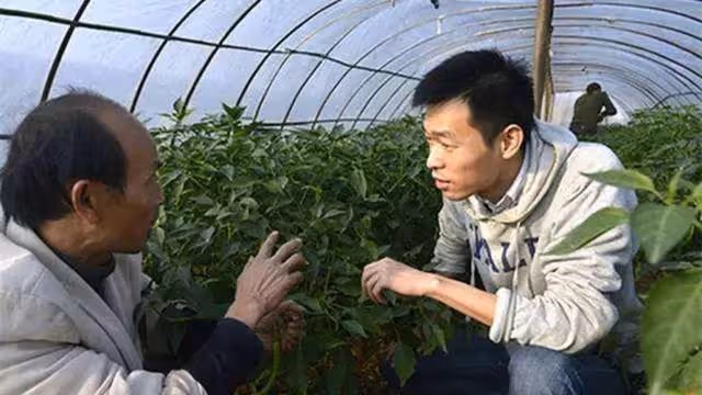 回顧:耶魯畢業拒絕百萬年薪,回國拿1450工資的秦玥飛現狀如何?