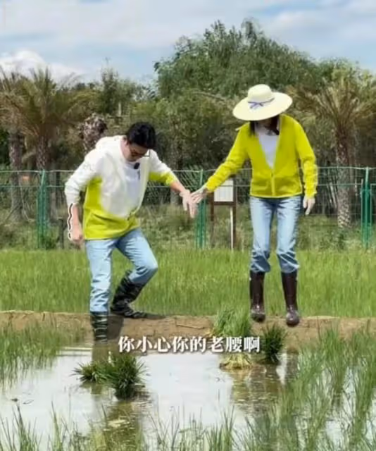 陸毅鮑蕾體驗生活，夫妻戴手套穿雨靴下田插秧，有模有樣超接地氣