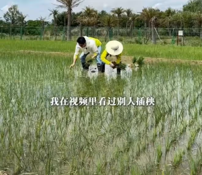 陸毅鮑蕾體驗生活,夫妻戴手套穿雨靴下田插秧,有模有樣超接地氣