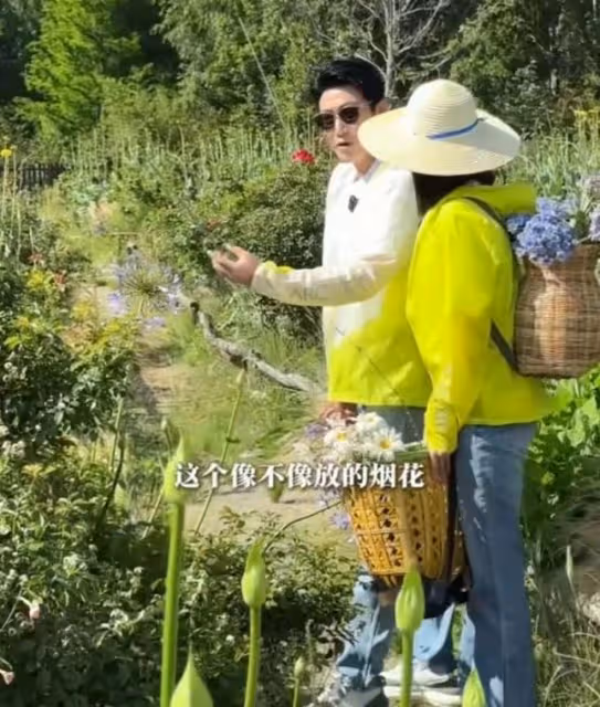 陸毅鮑蕾體驗生活,夫妻戴手套穿雨靴下田插秧,有模有樣超接地氣