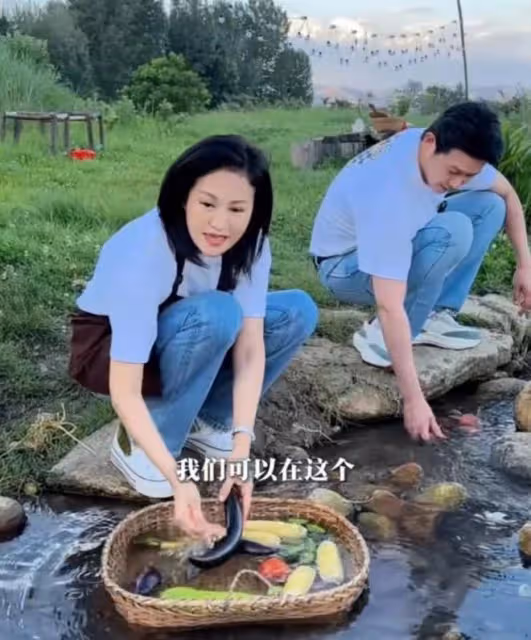 陸毅鮑蕾體驗生活,夫妻戴手套穿雨靴下田插秧,有模有樣超接地氣