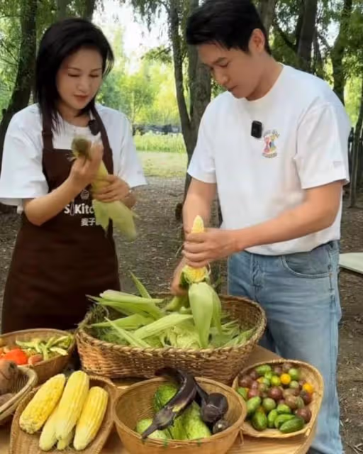 陸毅鮑蕾體驗生活,夫妻戴手套穿雨靴下田插秧,有模有樣超接地氣