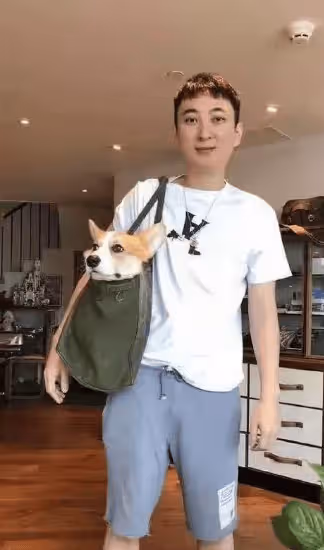 王思聰可憐嗎?身價1408億的首富之子只是網紅上位的工具人,掉價了!