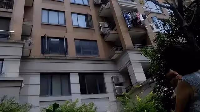 回顧:女子徒手接住2歲墜樓女童,多年後再次回到小區,感慨萬千