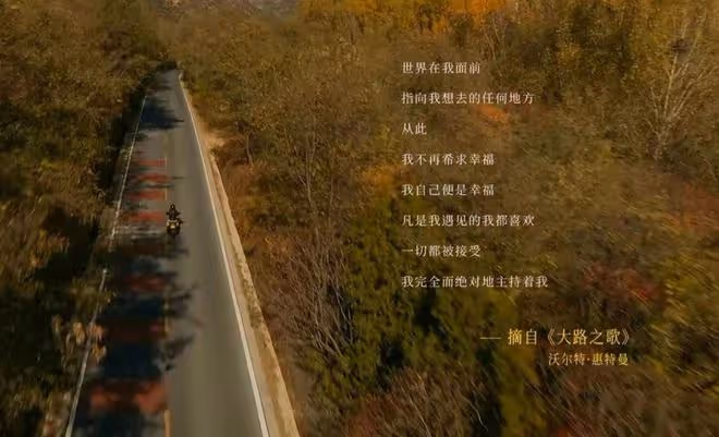 玫瑰的故事大結局:肖小雨苦戀太不值!黃亦玫曲線包養小白臉何西
