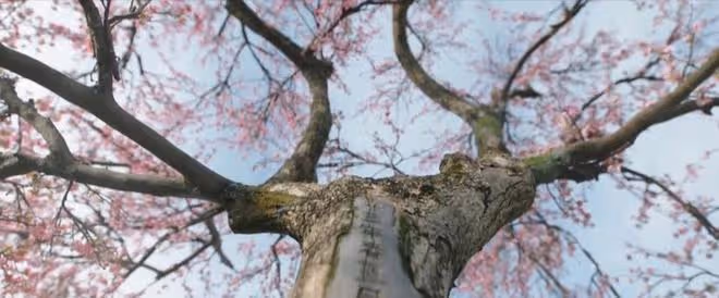 《墨雨雲間》看似是開放式結局,實則是悲劇結尾,彩蛋欲蓋彌彰