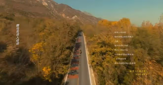 《玫瑰的故事》：蘇蘇突破困境，玫瑰追愛無悔，眾男友各歸其位