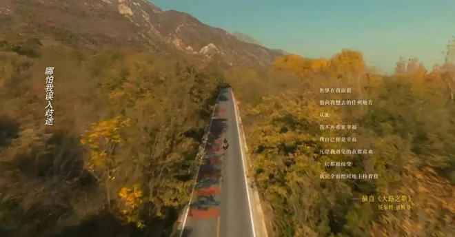 《玫瑰的故事》：蘇蘇突破困境，玫瑰追愛無悔，眾男友各歸其位