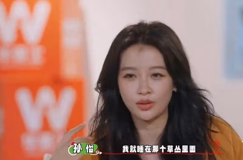 孫怡自曝曾喝多了睡草叢,還抱著小區保安聊天